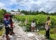 Polsek Bukit Batu Sambangi Pekarangan Bergizi Warga dalam Rangka Mendukung Ketahanan Pangan