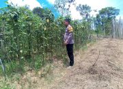 Mendukung Ketahanan Pangan, Personil Polsek Katingan Hulu dan Bukit Raya Cek Lokasi Pemanfaatan Pekarangan Warga