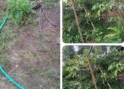 Masyarakat Desa Osom Tompok Mengeluh Dengan Air Bersih Yang Lama Tidak Jalan.