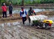 Babinsa Operasikan Transplanter Bantu Petani Tanam Padi di Kecamatan Tewah