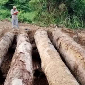 Pemkab Murung Raya Genjot Pembangunan Jalan Penghubung Desa Kolam–Saruhung