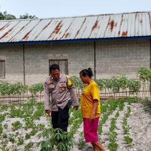 Dukung Program Ketahanan Pangan, Polsek Hanau Pantau Pekarangan Pangan Bergizi di Desa Rungau Raya