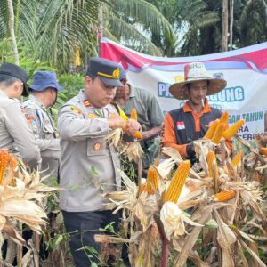 Gema Panen di Tanjung Hara:Ketika Aparat Desa dan Polisi Bersatu Memetik Jagung Untuk Ketahanan Pangan.