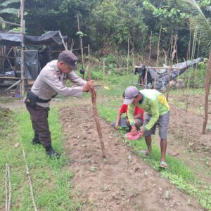 Polsek Hanau Tanam Harapan di Ladang Jagung,Dukung Swasembada Dari Desa Pembuang Hulu ll.