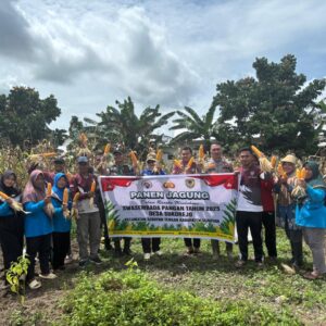 Polres Seruyan Dukung Ketahanan Pangan,dan Panen Jagung di Sukorejo Bukti Sinergi Polri Dengan Masyarakat.