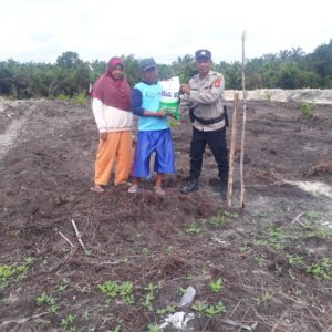 Sinergi Ketahanan Pangan, Polsek Hanau Laksanakan Penanaman Jagung Program Monokultur.