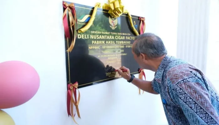 Holding Perkebunan Perkuat Hilirisasi, PTPN I Luncurkan Pabrik Cerutu Tembakau Deli