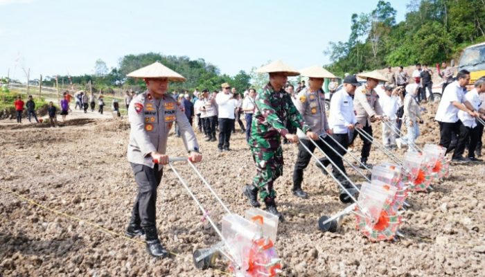 Dukung Program Asta Cita Presiden RI, Polda Kaltim Gelar Penanaman Jagung Kuartal III secara Serentak