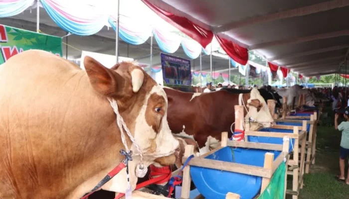 Populasi ternak di Lampung capai 660.191 ekor, Pj Gubernur: Harus Dioptimalkan agar Lebih Maju dan Berdaya Saing