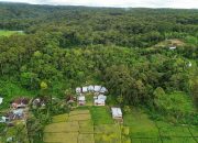 GMBI Pesisir Barat Tolak Relokasi Rumah M’Thohir di Way Batu, Rencana Demo Besar