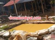 Diduga Pengelola Emas Ilegal Milik Wandi Warga Desa Bunut Sebrang Ancam Kesehatan Warga dan Cemari Lingkungan