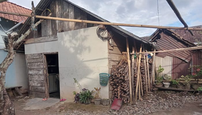 Rumah Tak Layak Huni Milik Suryati Warga Desa Paya Kecamatan Padang Cermin Butuh Uluran Tangan Pemerintah