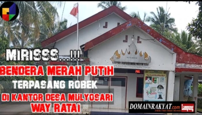Lusuh dan Robek,Bendera Merah Putih Berkibar di Kantor Desa Mulyosari Kecamatan Way Ratai Kab.Pesawaran