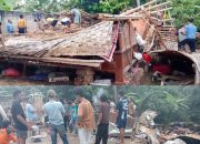 Akibat Hujan Deras dan Angin Kencang Satu Unit Rumah Di Gedong Tataan Porak Poranda Tertimpa Pohon Tumbang