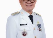 Hany Syopiar Rustam Pemimpin yang Membangun Banyuasin dengan Banyak Prestasi, Mengapa Masih Dipandang Sebelah Mata?