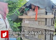 Terungkap! Ani Dipasung 20 Tahun, Pemkab Banyuasin Bergerak Cepat Kirim ke RSJ Ernaldi Bahar.