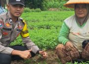 Dukung Ketahanan Pangan, Briptu M Husein S Ajak Warga Binaan Untuk Memanfaatkan Lahan Pekarangan