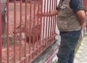 Rusa di Rumah Dinas Bupati Banyuasin Menyusut dan Kurus, Aktivis Pertanyakan Pengelolaannya.