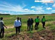 Kanit Binmas Polsek Betung Turun Langsung Cek Tanaman Jagung di Lahan PT. Citra Sembawa