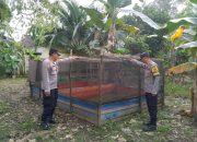 Polsek Betung Dorong Ketahanan Pangan Melalui Budidaya Ikan Lele