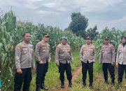 Kapolres Lubuk Linggau, AKBP Adithia Bagus Arjunadi, tinjau  langsung lahan pangan