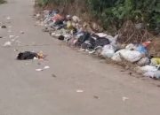 Tumpukan Sampah di Pinggir Jalan Kelurahan Tanah Mas Indah Ganggu Aktivitas Pengguna Jalan, Warga Setempat Desak Tindakan Tegas