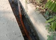 PLN Klaim Sudah Nonaktif,Kenapa Tidak di Putuskan Saja!