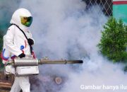 Warga Patungan Minyak Fogging, Ke Mana Anggaran Dinkes Banyuasin?