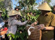 Dukung Kejayaan Kopi Pagar Alam di Pasar Global, Barantin Perkuat Ketertelusuran Komoditas