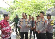 Brigjen Rudy Syafirudin Apresiasi Desa Percontohan P2B Banyuasin: “Tiap Rumah Harus Punya 7-8 Jenis Tanaman!”