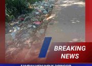 Sampah Menumpuk dipinggir Jalan Desa Pangkalan Benteng,Bau Menyengat Warga Resah
