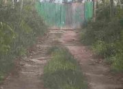 Gudang BBM Ilegal Milik GT Diduga Kebal Hukum, Warga”Kemana APH?”