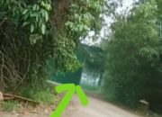 Terlindungi: Gudang Penimbunan BBM Ilegal di Banyuasin 3 Diduga Kebal Hukum, Warga Resah