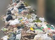 Sampah Menggunung di Jalan Nasional Palembang–Betung, DLH Banyuasin Dinilai Mandul!