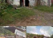 Diduga, Gudang CPO Ilegal Desa Pulau Harpan Kecamatan Sembawa Kabupaten Banyuasin Tak Tersentuh Hukum