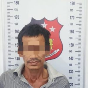 Polisi Ungkap Pencurian 113 Tandan Sawit, Kerugian Capai Rp4,8 Juta