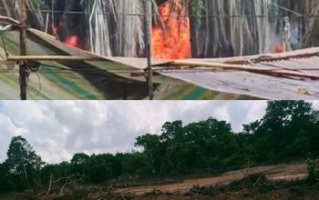 “Penegakan Hukum Mandul, Mafia Ilegal Muba Kian Perkasa”