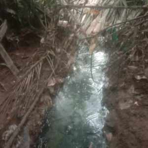 Diduga Cemari Lingkungan, Aktivitas Yayasan MBG Terancam Jerat Hukum Lingkungan – Warga Kedondong Raye Minta Penutupan Operasional