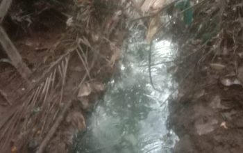 Diduga Cemari Lingkungan, Aktivitas Yayasan MBG Terancam Jerat Hukum Lingkungan – Warga Kedondong Raye Minta Penutupan Operasional