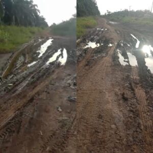 “Jalan Rusak di Desa Wana Mukti:  Dugaan Anggaran  Pemerintah Desa Tak Sesuai Dengan Yang di Peruntukan ?”