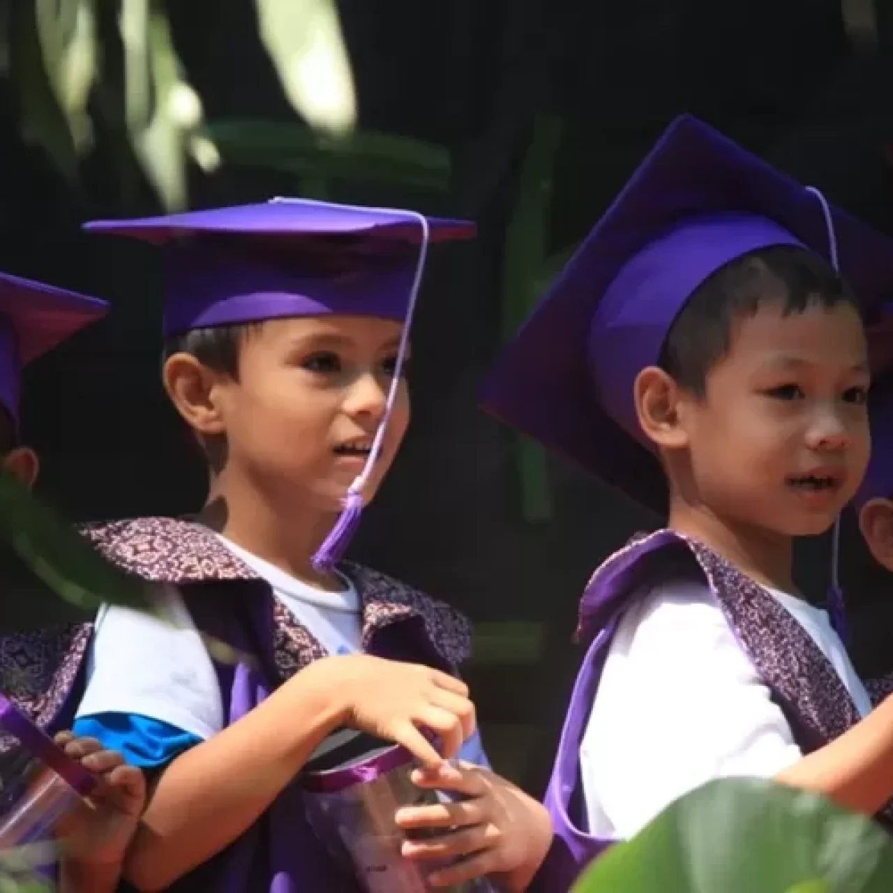 Wisuda TK hingga SMA: Semakin Marak di Era Medsos, Mengapa?