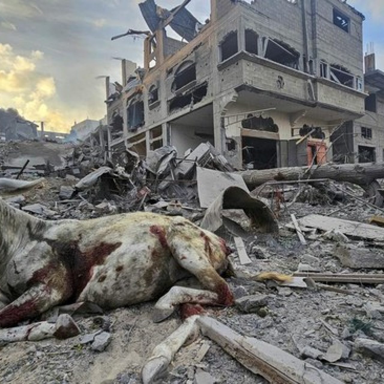 Makin Brutal, Tentara Israel Gempur Sekolah di Kamp Jabalia Gaza