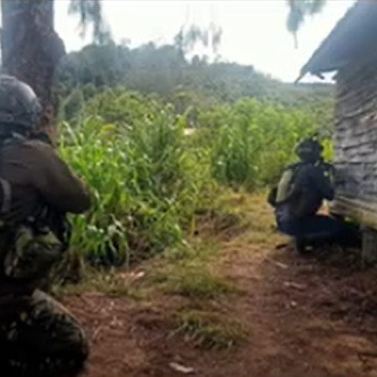 TNI Berhasil Pukul Mundur OPM dan Merebut Kembali Distrik Bibida