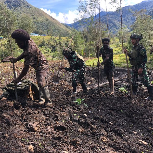 Sadarkan Pentingnya Ketahanan Pangan, Satgas Yonif 323/BP Bantu Masyarakat Papua Bercocok Tanam Sayuran