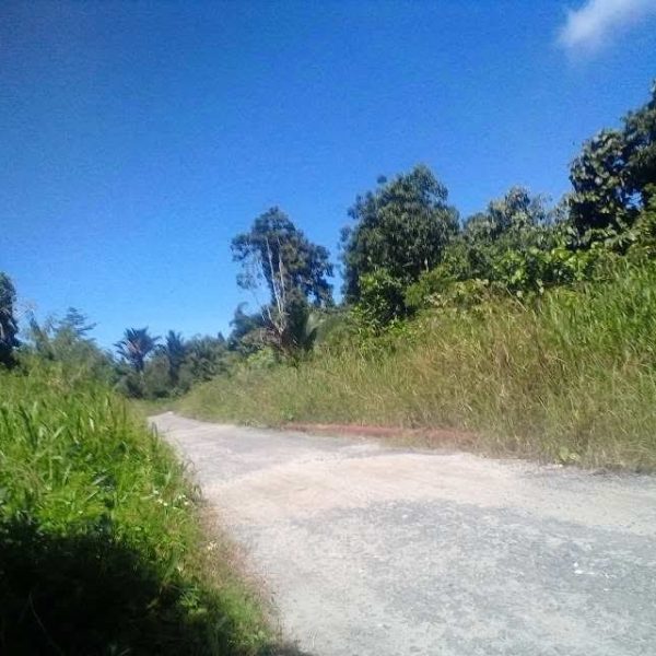 Bahu Jalan Kampung Sima, Kecamatan Yaur, Nabire Jadi Hutang, ADD Dikemanakan?