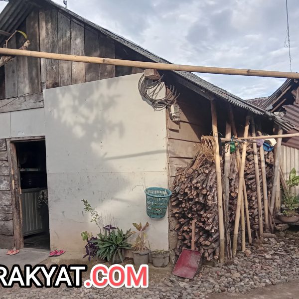 Rumah Tak Layak Huni Milik Suryati Warga Desa Paya Kecamatan Padang Cermin Butuh Perhatian Pemerintah