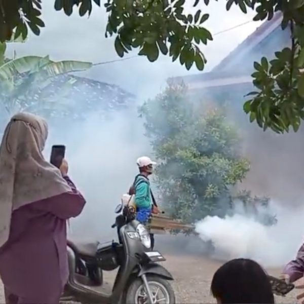 Kepala Desa Tanjung Rejo Bersama Bidan Desa Adakan Kegiatan Fogging (Pengasapan) Pencegahan DBD