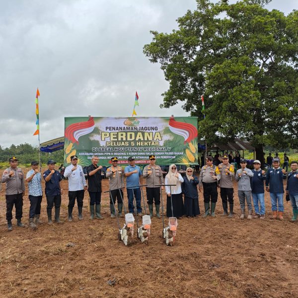 Kolaborasi dengan Polri, PalmCo Optimalkan Lahan Replanting Sawit untuk Tanam Jagung