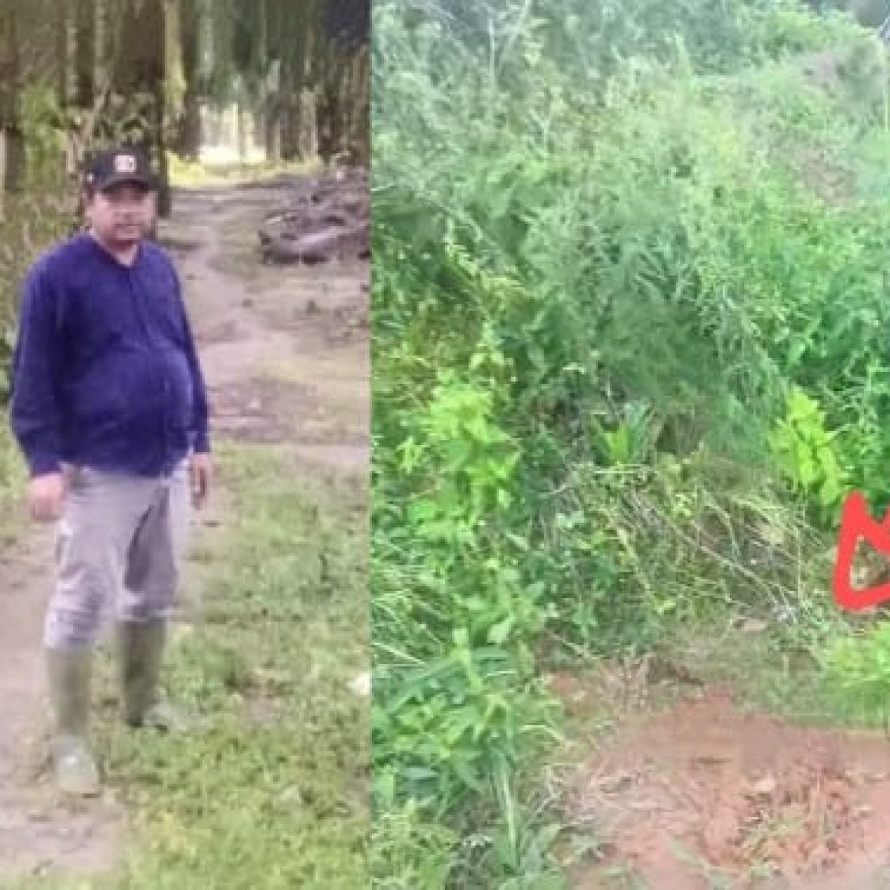 Diserang Pemberitaan Miring, CV Jaya Anugerah Duga Ada Sabotase, Fitnah dan Sentimen Karena Program Hanpang Gagal