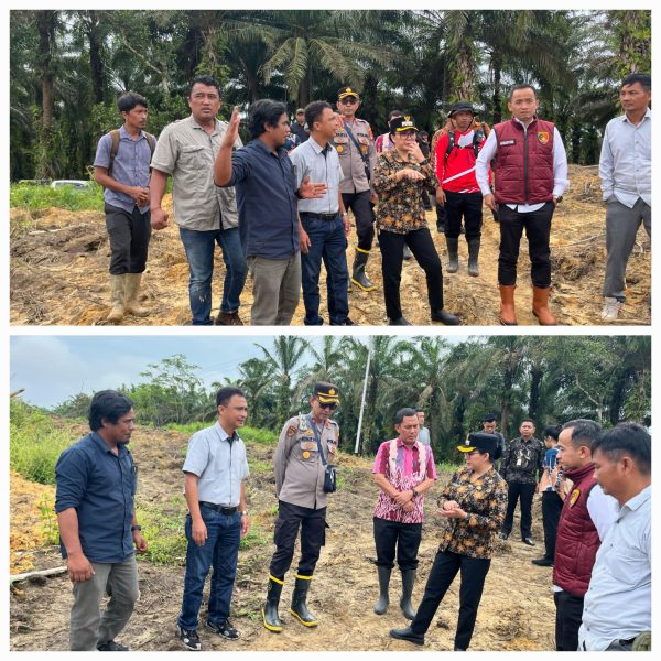 Bupati Landak Tinjau Lahan Jagung PTPN IV Regional V